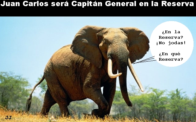 El Rey será Capitán General en la Reserva, preocupación entre los elefantes. Humor.